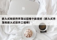 嵌入式和软件开发以后哪个前景好（嵌入式开发和嵌入式软件工程师）