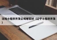 沈阳小程序开发公司哪家好（辽宁小程序开发）