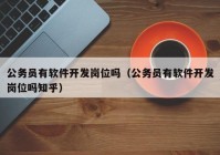 公务员有软件开发岗位吗（公务员有软件开发岗位吗知乎）