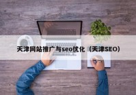 天津网站推广与seo优化（天津SEO）