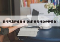 软件开发行业分析（软件开发行业分析报告）