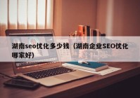 湖南seo优化多少钱（湖南企业SEO优化哪家好）